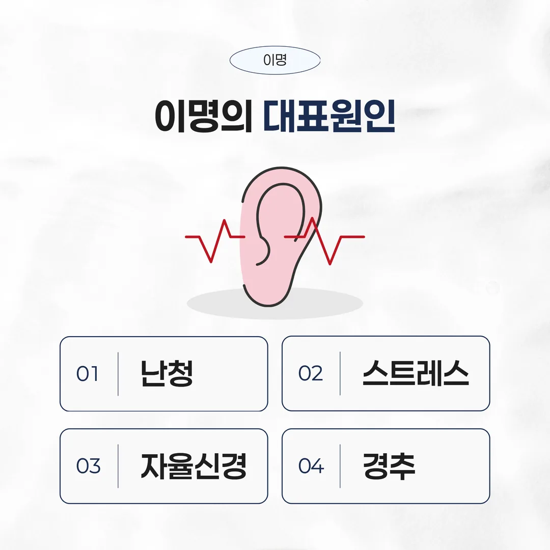 이명 원인 유형 정리