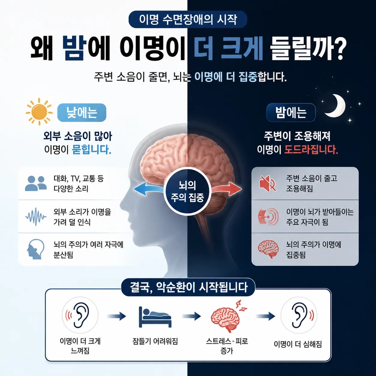 밤에 이명이 더 커지는 이유 설명 이미지