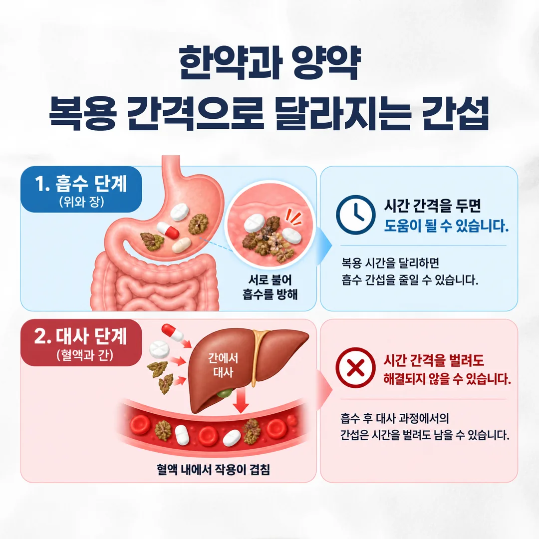 한약과 양약의 간섭이 일어나는 두 층을 나눈 개념도