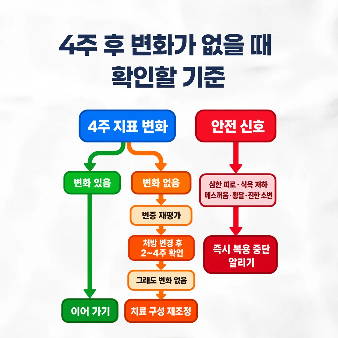 이명 한약 지속·변경·중단을 4주 지표와 안전 신호로 가르는 판단 기준 도식