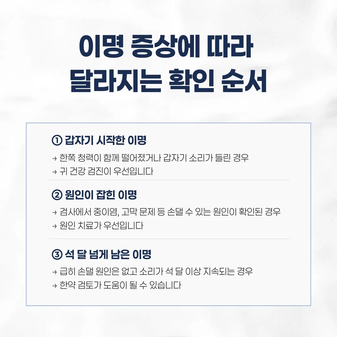이명을 시작 시점과 지속 기간으로 나눈 세 갈래 갈림 도표