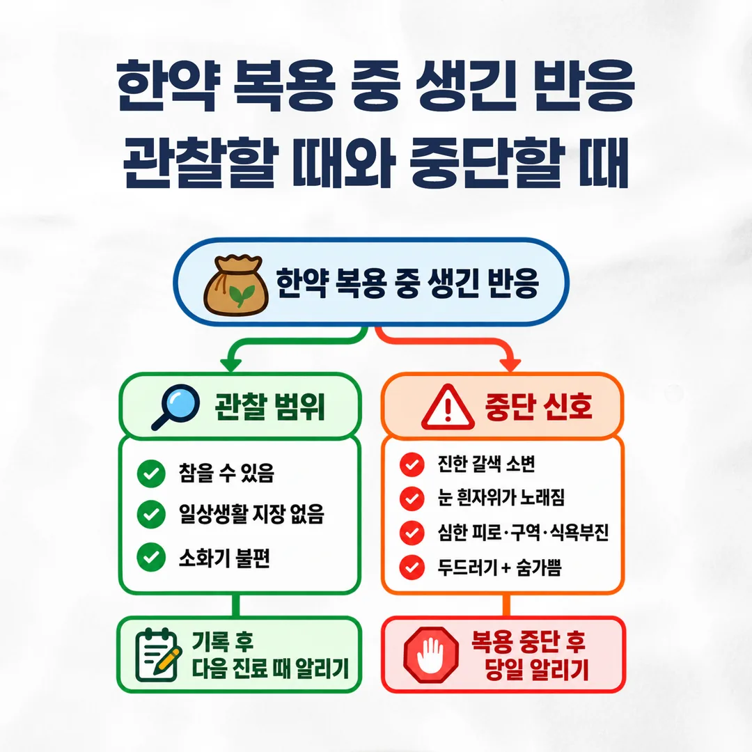한약 부작용에서 관찰 범위와 중단 신호를 가르는 기준 개념도