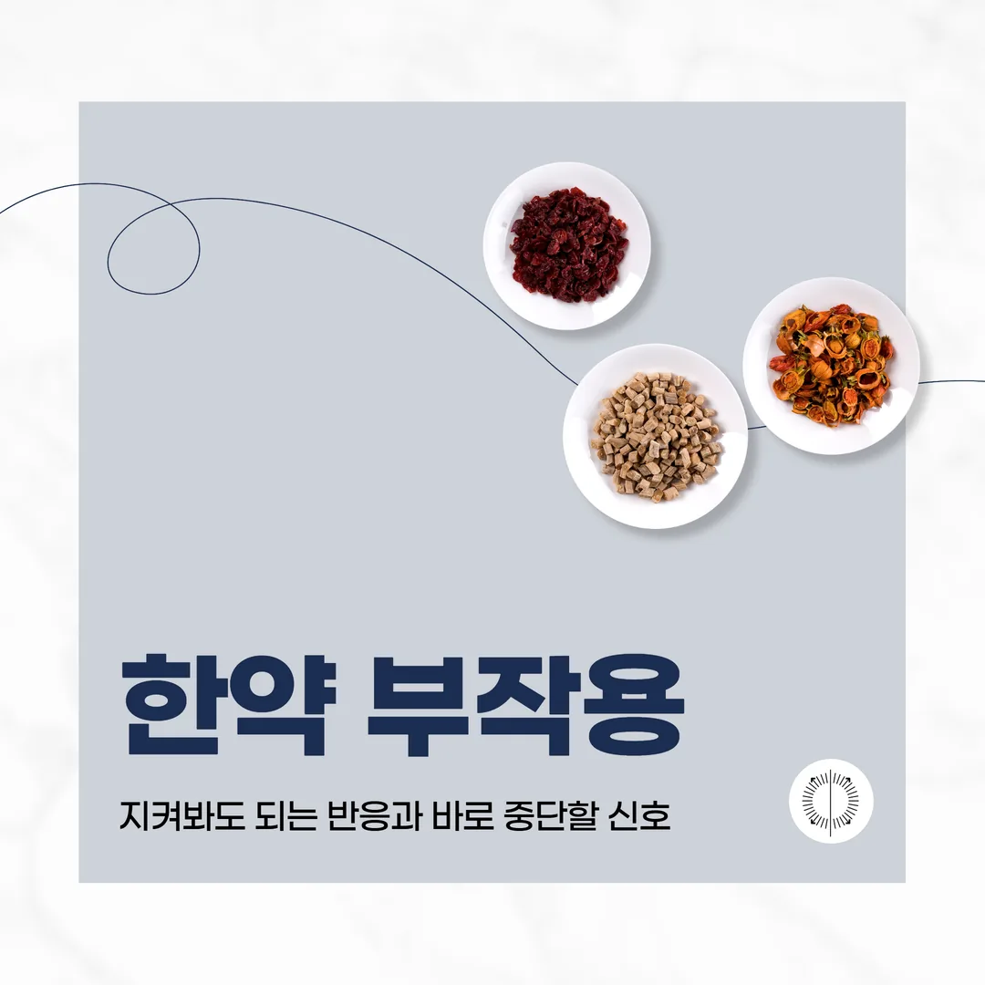 한약 부작용, 지켜봐도 되는 반응과 바로 중단할 신호