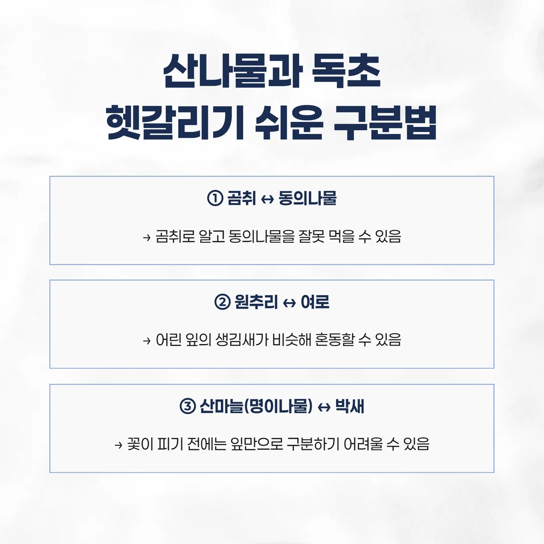 산나물과 혼동하기 쉬운 독초 세 쌍의 구분 포인트 그림