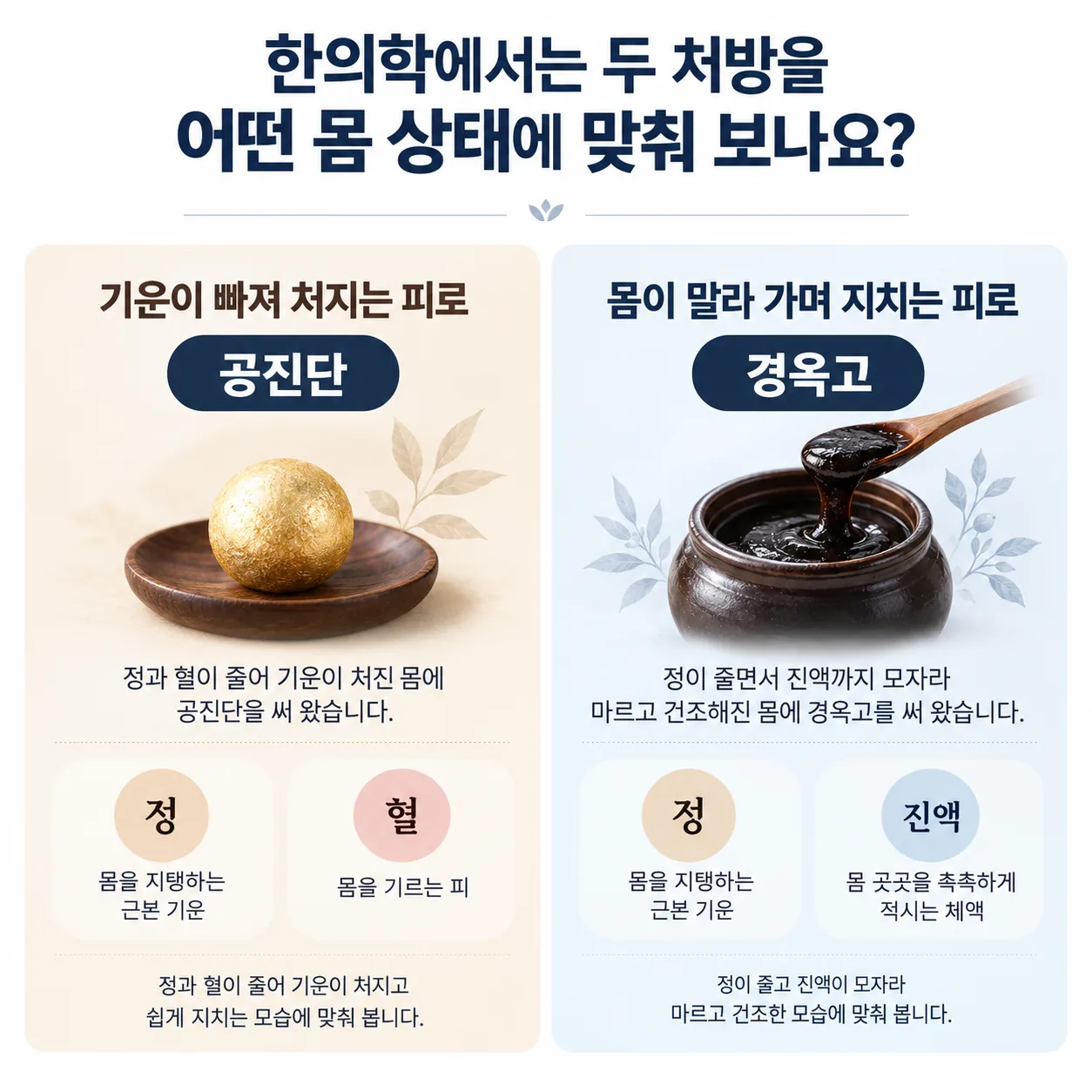 기운이 처진 몸과 진액이 마른 몸에 맞춰 보는 공진단 경옥고 개념도
